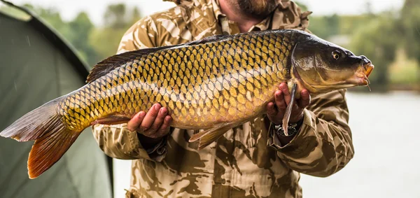 Happy angler med karp fiske trophy — Stockfoto