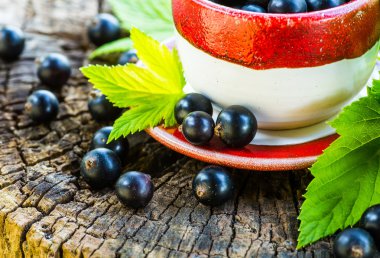 bir kase içinde siyah kuş üzümü