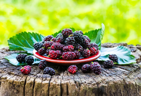 Bahçe bir arka plan üzerine bir kase taze dut