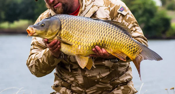 Pescador feliz com troféu de pesca de carpa — Fotografia de Stock