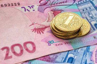 Ukraynalı para - para ve hryvnia