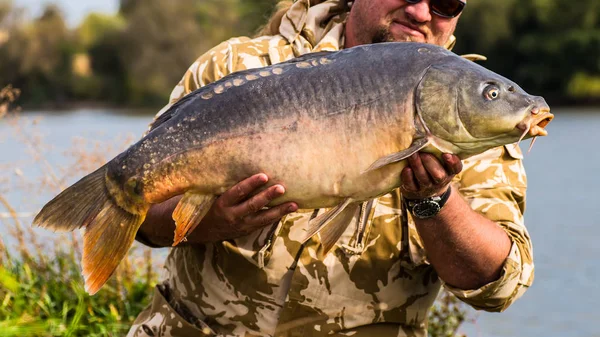 Carpa y pescador, Trofeo de pesca de carpas . — Foto de Stock