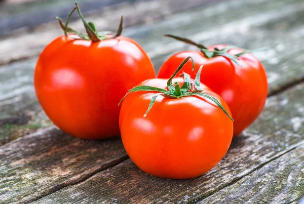 木本背景下新鲜成熟西红柿的特写 — 图库照片