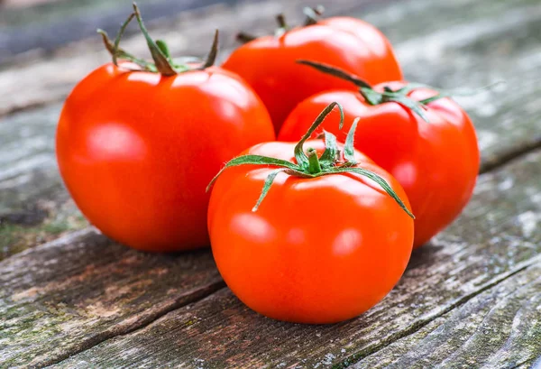 나무 배경에 싱싱하고 잘 익은 토마토를 클로즈업 한 모습 — 스톡 사진