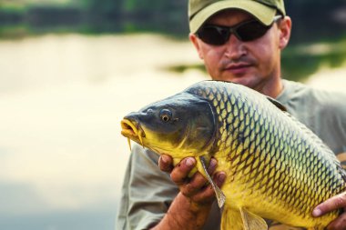 Sazan ve balıkçı, sazan balıkçılık kupa.