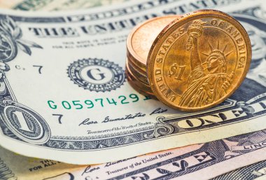 Natürmort ile nakit dolar ve sent bize.