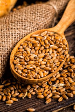 Taze pişmiş geleneksel ekmek bal ahşap bir masa üzerinde
