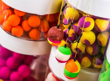 sazan balığı yemler için balıkçılık