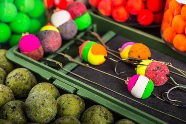 sazan balığı yemler için balıkçılık