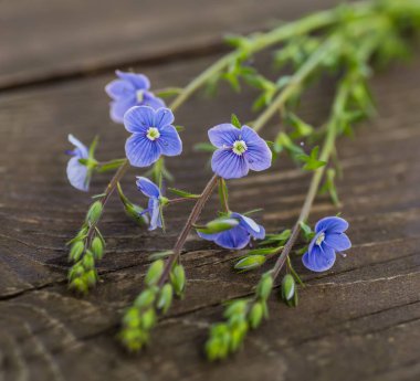 Yaz vintage ahşap arka plan üzerinde renkli çiçekler