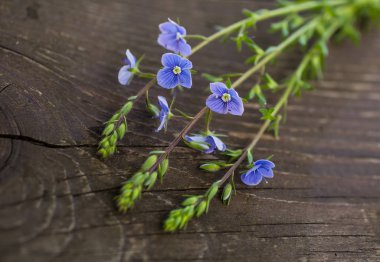 Yaz vintage ahşap arka plan üzerinde renkli çiçekler