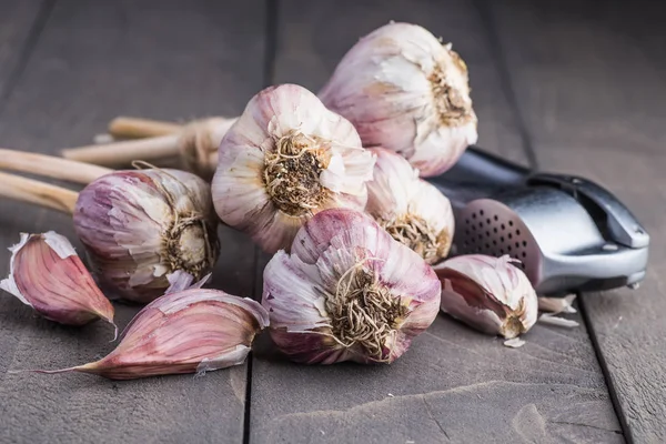 Organic garlic. Garlic press. Violet garlic.Wooden board.