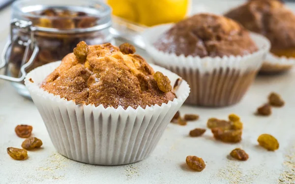 Schokoladenmuffins im Papierkuchenhalter — Stockfoto