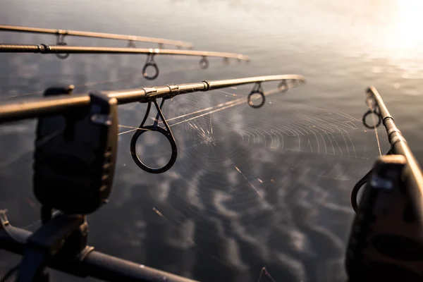 Cañas de pescar de la carpa, caña de pescar, línea de pesca, bobina —  Fotos de Stock