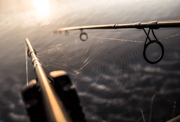 Cañas de pescar de la carpa, caña de pescar, línea de pesca, bobina —  Fotos de Stock