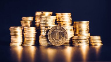 Ukrayna hryvnias, paralar/Ukrayna çelik madeni para denominat yığını
