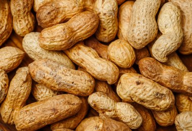 Kabuk dokusunda fıstık. Fıstık arkaplanı