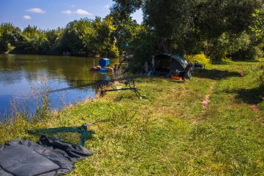 Çam arka planı Nehri'nin kıyıdan görüntülemek 