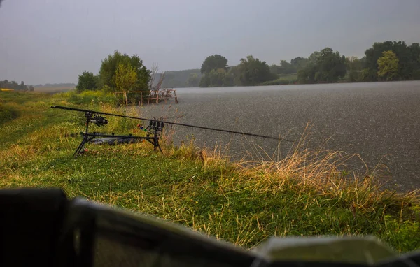 Çam arka planı Nehri'nin kıyıdan görüntülemek — Stok fotoğraf