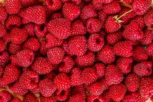 Fresh and sweet raspberries background — Stock Photo, Image