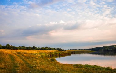 Çam arka planı Nehri'nin kıyıdan görüntülemek 