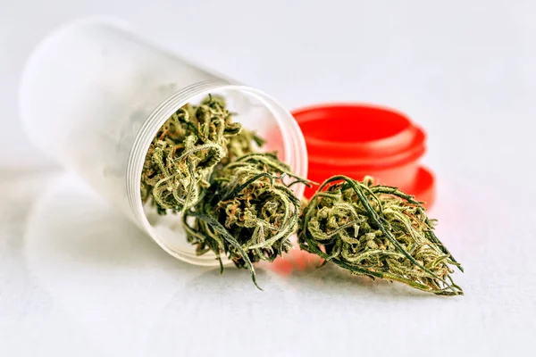 Flor de marijuana medicinal. Estirpe de marijuana recreativa. Ca — Fotografia de Stock