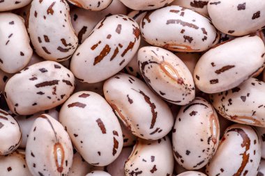 Fasulye fasulyesi. Birçok kuru fasulye tanesinin arka planı