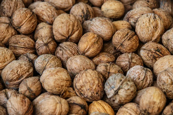 Vlašské ořechy, neloupané řecké ořechy, sklizeň vlašských ořechů, vlašské ořechy closeu — Stock fotografie