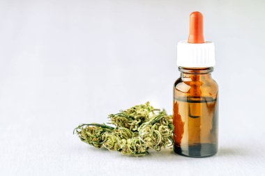 Tıbbi Esrar (marihuana) yağı tüketime hazır, kenevir