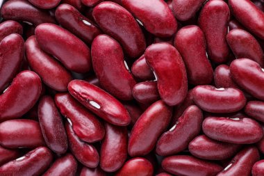 Fasulye fasulyesi. Noktalı menekşe dokusu. Fasulye. 