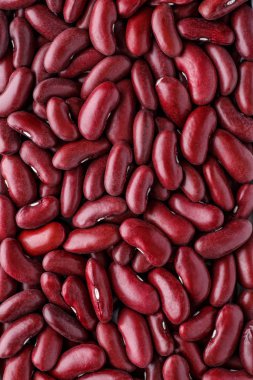 Fasulye fasulyesi. Noktalı menekşe dokusu. Fasulye. 