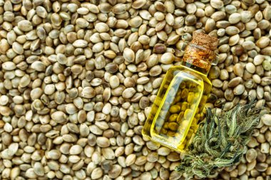  Bir sürü kenevir tohumu. Marihuana tohumunun makro ayrıntıları. Organik He