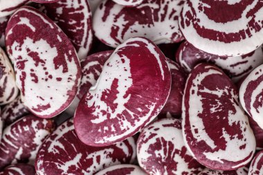 Fasulye fasulyesi. Noktalı menekşe dokusu. Fasulye. 