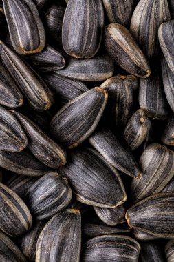 Siyah ayçiçeği tohumları, kare organik arka plan. Doku için ya da