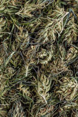 Çiçek tomurcuklarının geçmişi esrar, marihuana, ot manzaralı polis