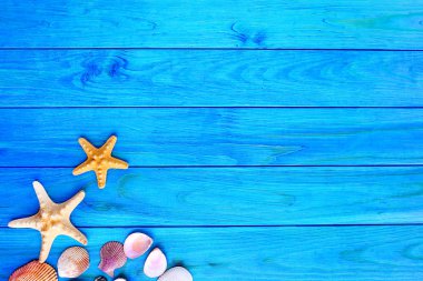 Yaz zamanı konsepti. Güzel deniz yıldızlarıyla bezenmiş düz bir kompozisyon.