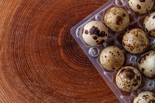 Поднос с яйцами перепела, вид сверху. Маленькие сырые яйца. Купить здоровую пищу. — стоковое фото