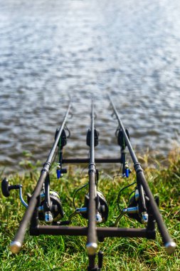 Fishing adventures, carp fishing. Carp fishing rods set up on ho