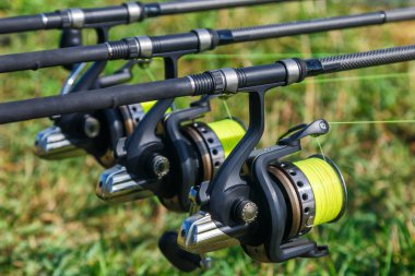 Carp spinning reel angling rods on pod standing. Carp Rods,Carpf