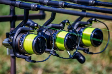 Carp spinning reel angling rods on pod standing. Carp Rods,Carpf