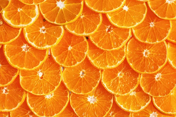 Tło cytrusowe. Cytryna, wapno pomarańczowe, mandarynka grejpfrutowa. Harv Przewodniczący — Zdjęcie stockowe