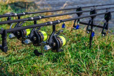 Carp spinning reel angling rods on pod standing. Carp Rods,Carpf
