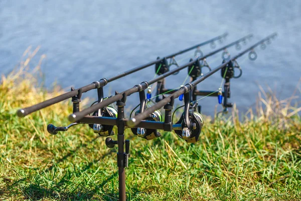 Fishing adventures, carp fishing. Carp fishing rods set up on ho