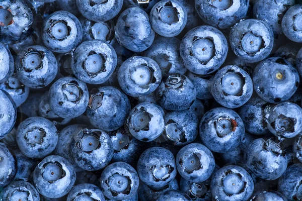 Blåbär flyter i vatten med bubblor. Färska blåbär ba — Stockfoto