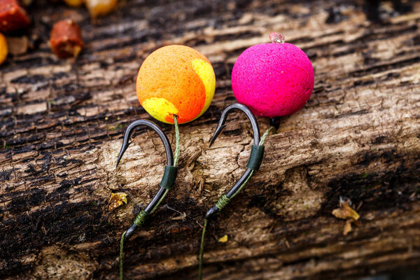Carp fishing chod rig.The Source Boilies with fishing hook. Fish
