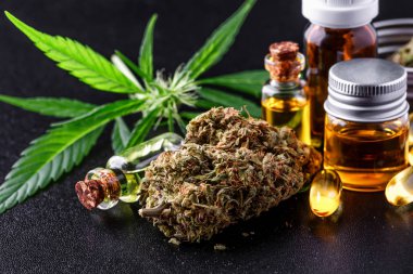 Tıbbi marihuana çiçeği tomurcukları. Eğlence amaçlı marihuana türü. Kenevir soyu. Cam kavanozda ot tomurcuğu. Dispanser menüsü. Siyah tıbbi marihuana konseptiyle izole edilmiş kenevir budu.