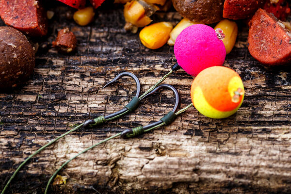 Carp fishing chod rig.The Source Boilies with fishing hook. Fishing rig for carps, boilie rig, near the lake on a piece of wood