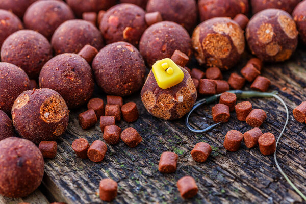 Carp fishing chod rig.The Source Boilies with fishing hook. Fishing rig for carps, boilie rig, near the lake on a piece of wood