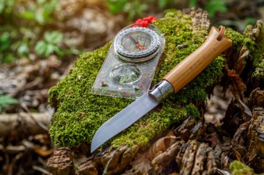 Ormandaki bir kütükte, orman çiçekleriyle birlikte bir fincan çay. Seyahat konsepti. Turist çeliği kupası ve yaz ormanlarında pusula. Doğanın arka planında bıçak.,