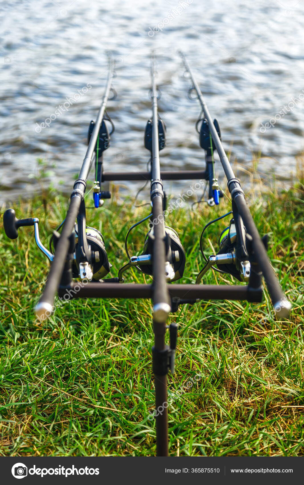 carp fishing tackle set